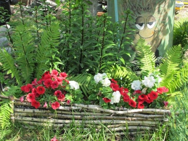 клумба  у Кузьки