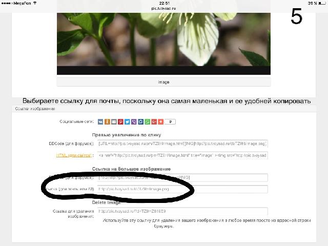 IMG 6422 24 05 17 11 07