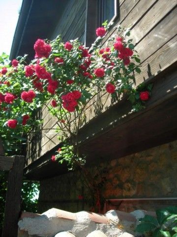 DSCN7907 изменение размера