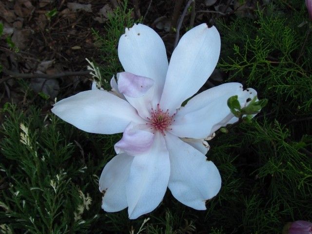 027