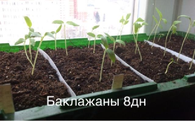 image 03 03 16 01 14 15