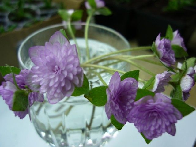 P1030728