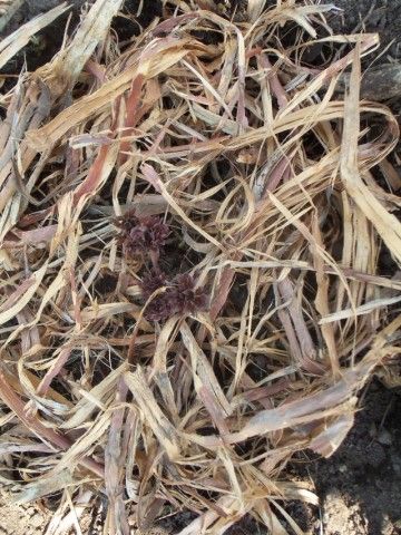 Изображение 031