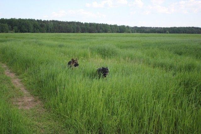 IMG 3975