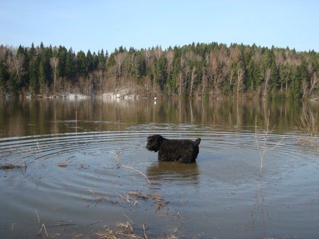DSC06359