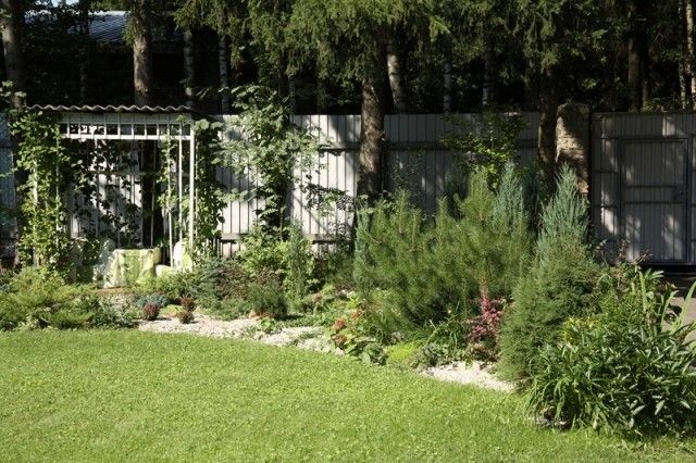 MG 2453  Копировать