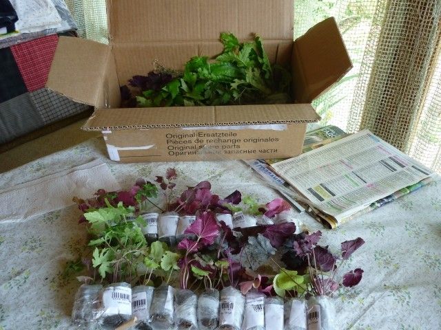 P1020947