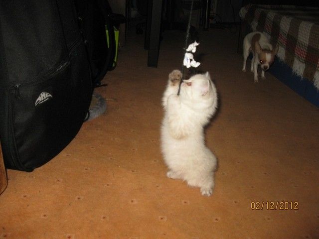 IMG 4847