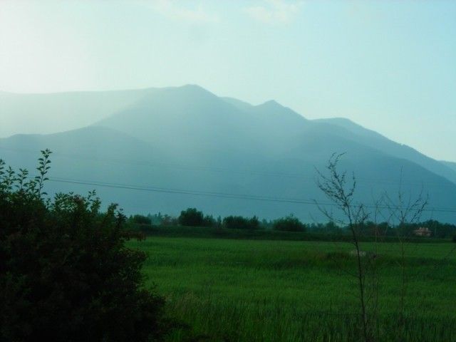 DSCN7877 изменение размера