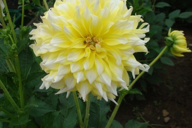 063
