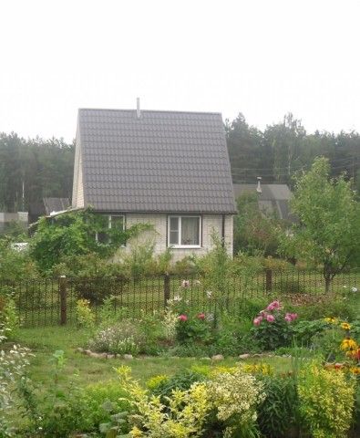 SDC10855