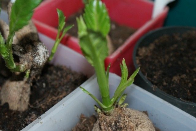 Изображение 015