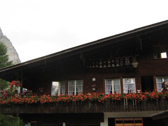 IMG 1689