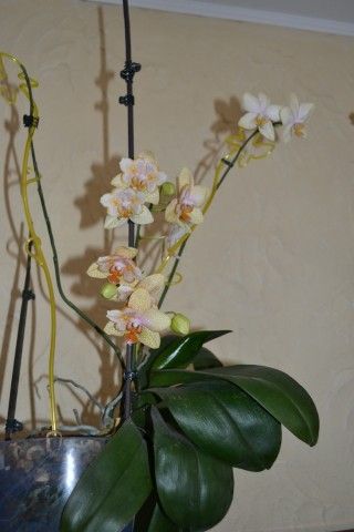 DSC 1015
