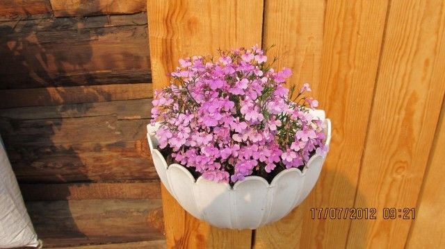 Изображение 067