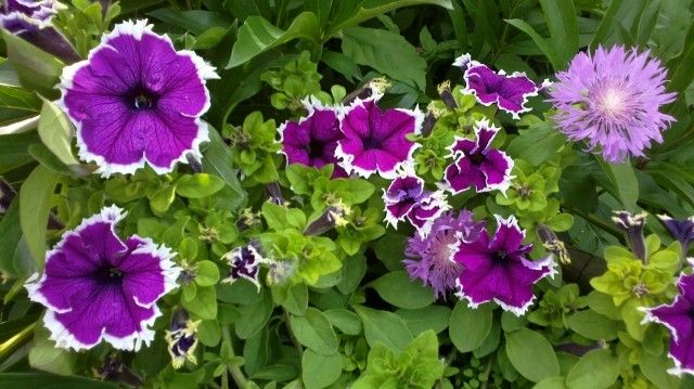 2013 07 04 0331