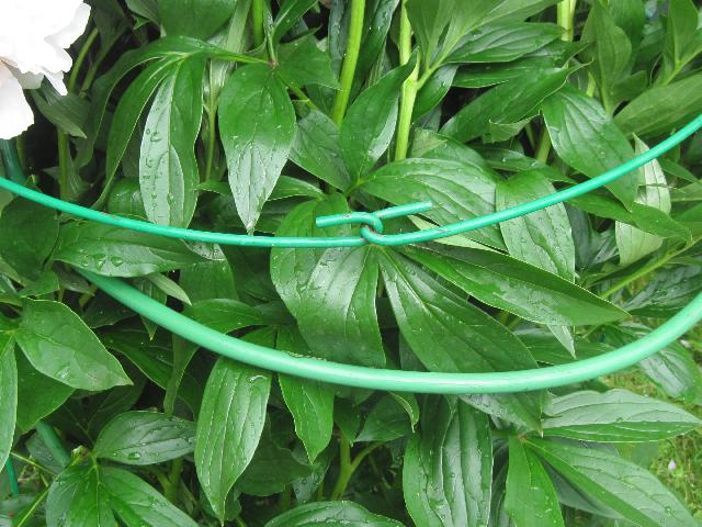 Изображение 234