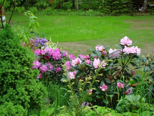DSC02820