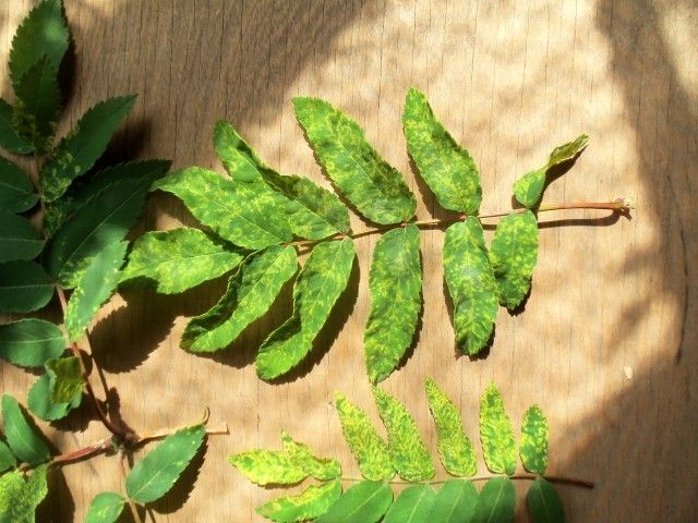 Изображение 055