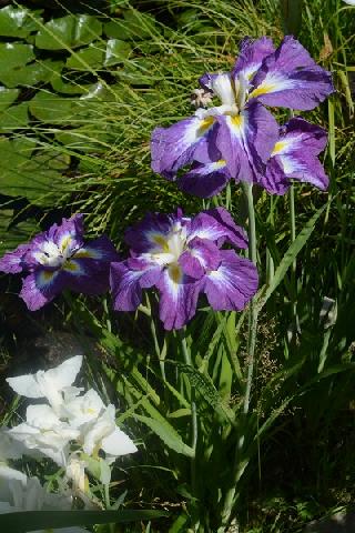 Подарок Пальчиковой  1