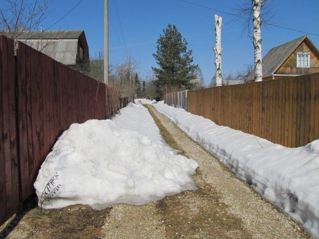 IMG 4501