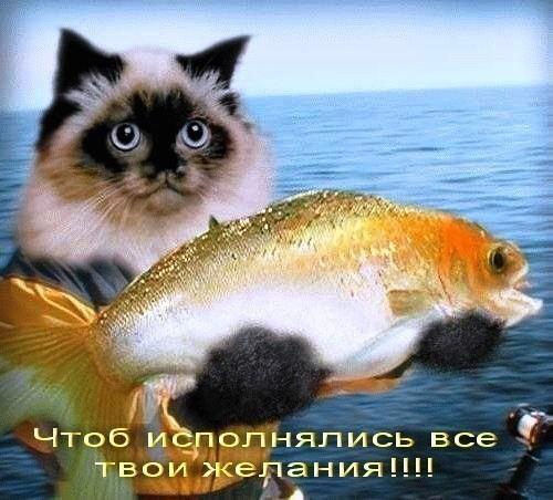 с днем рожд