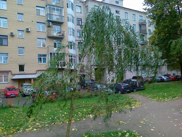 Плакса