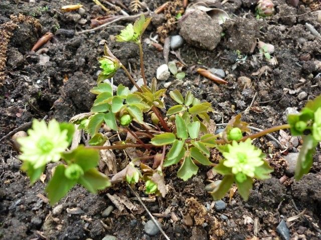 P1040127
