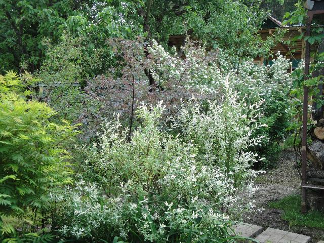 DSC07477