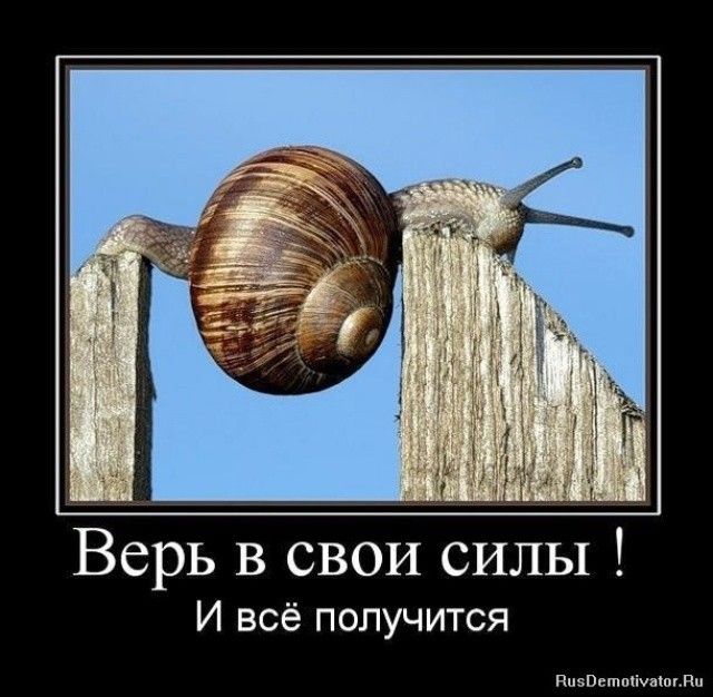 75284518 4417074 48dac5f1a12245f086d6bd62c1253f9a 1150a9fdffa1c6063fa3d32c435e5555