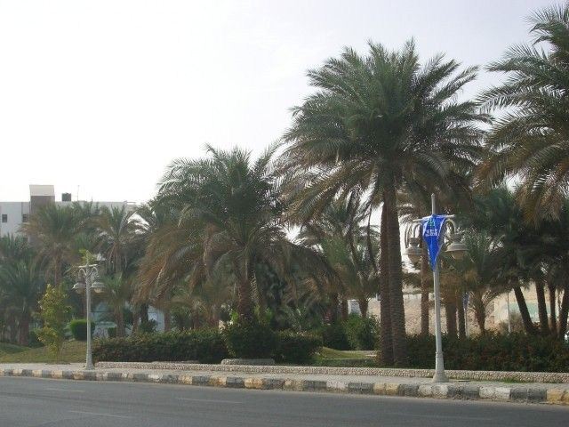 IMGP0813