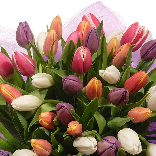 eb102e560ab943de82caba6d9b0fcd99