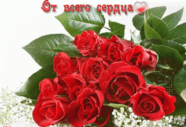 81516910 ot vsego serdca