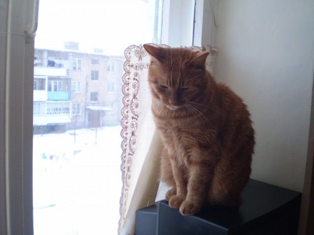 Изображение 001