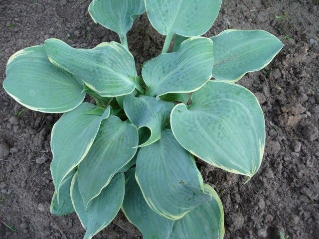 P1020735