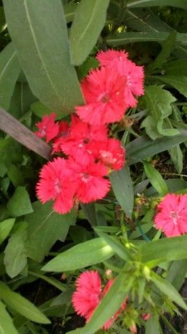 2013 07 04 0307