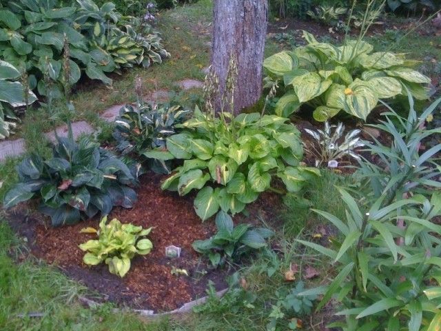 н18