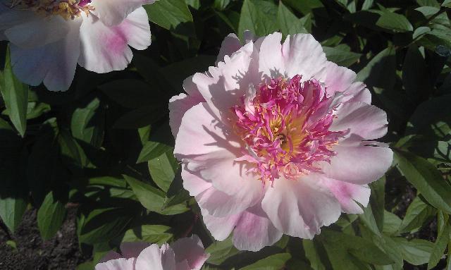 IMAG0851