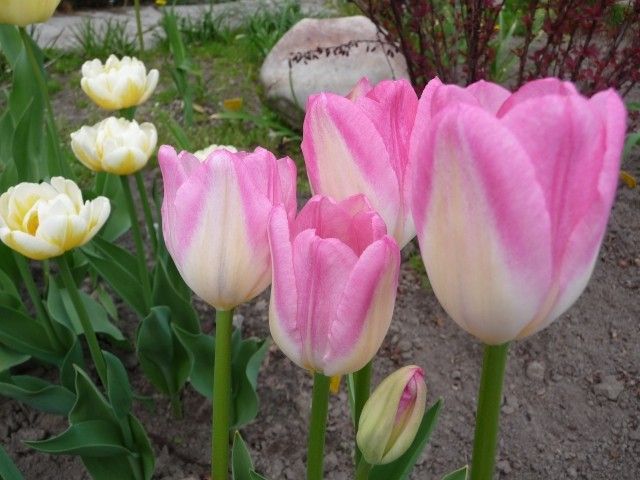 P1080085