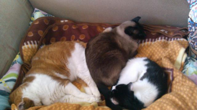 IMG 20 10 2016 142254