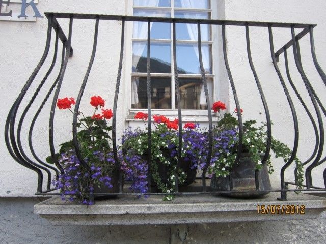 IMG 0463