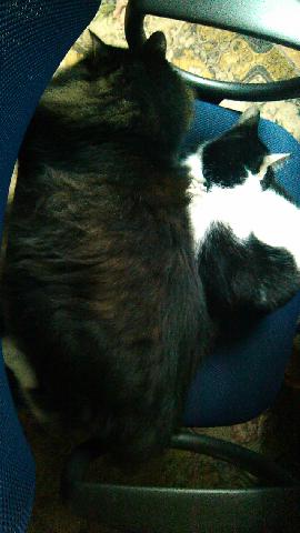 IMG 08 10 2016 131737