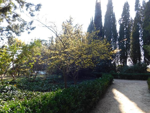 DSCN5061