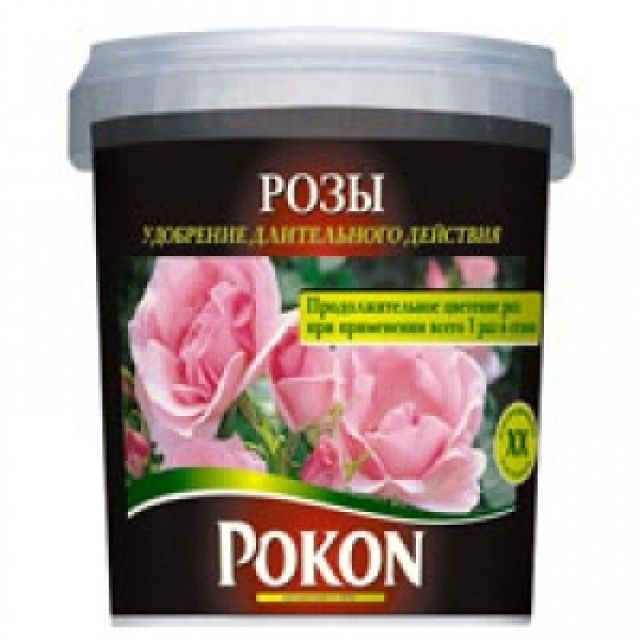 009998 big 33dd58c657ae14ad8a3745362e8ef3ec