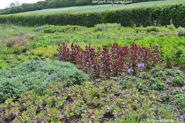 0 163c77 11928182 orig