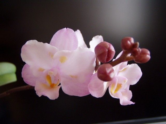P1010022