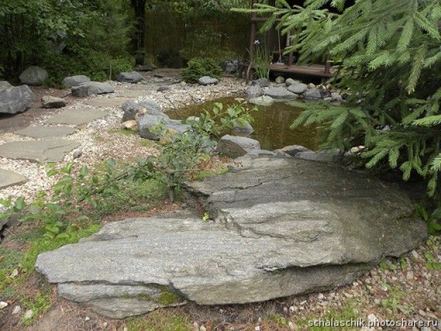 Наташа  дорожка к пруду