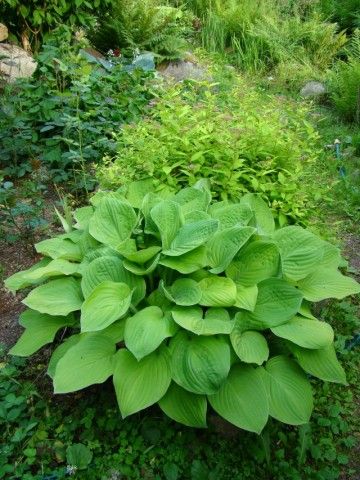 2013 06 21 001 064