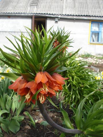 DSC00041