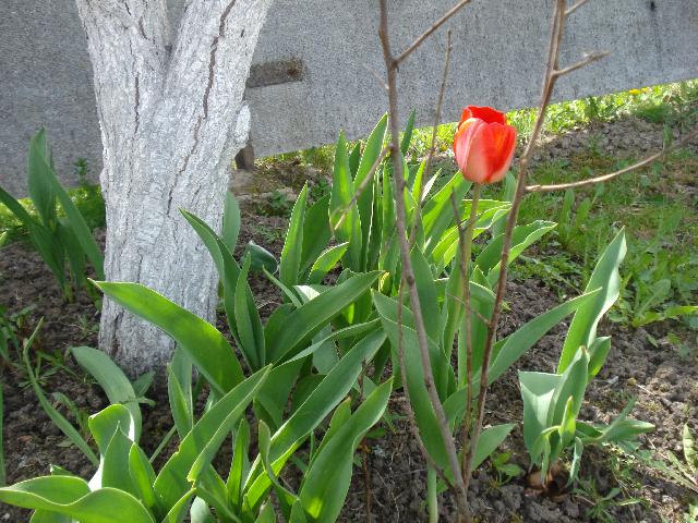 DSC00039